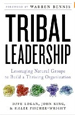 Tribal Leadership