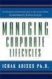 Corporate Lifecycles