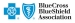 BlueCross Blue Shield