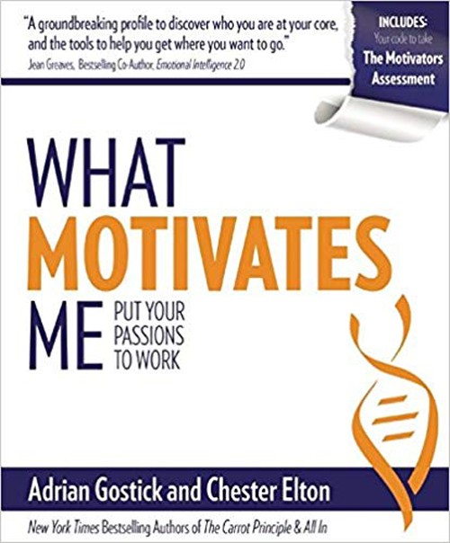 What Motivates Me