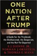 One Nation After Trump - Norman Ornstein