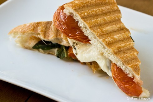 Roasted_Tomato_Mozzarella_Basil_Panini-cut-490