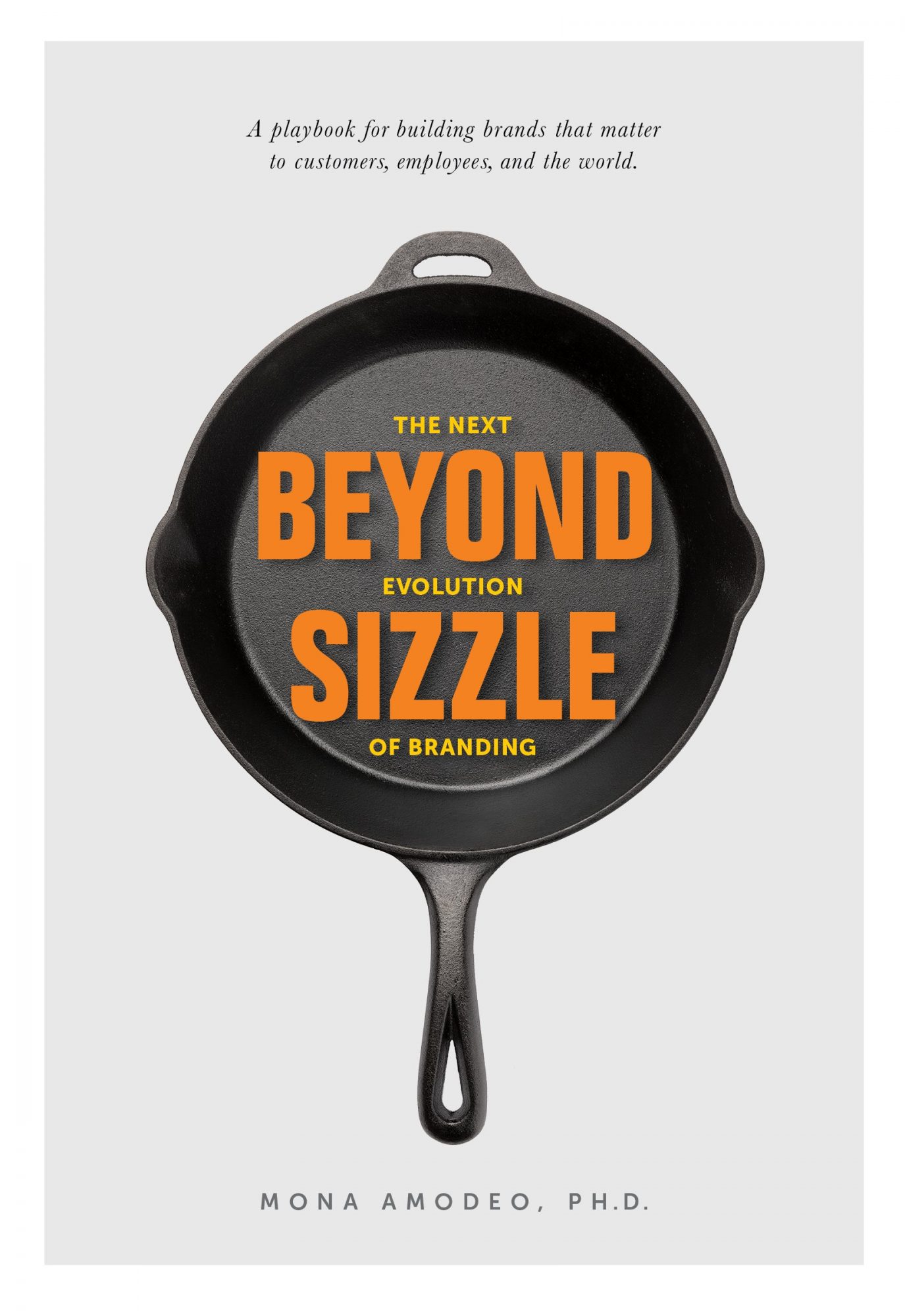 Beyond Sizzle: The Next Evolution of Branding