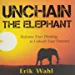 Unchain the Elephant: Reframe Your Thinking to Unleash Your Potential